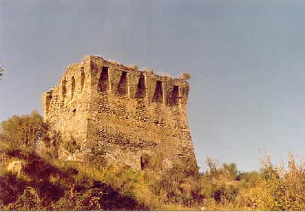 torre-dell'oliva-scario