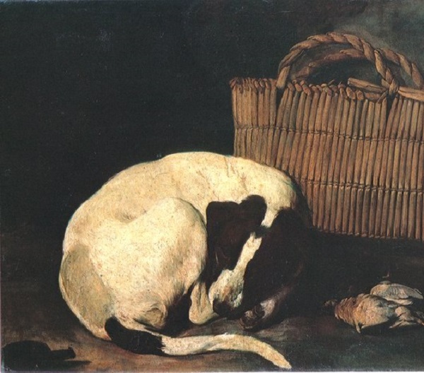 arcangelo-resani-natura-morta-cane-olio-tela-faenza-pinacoteca