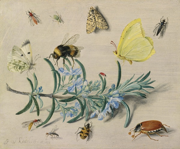 jan-van-kessel-the-elder-natura-morta-1653