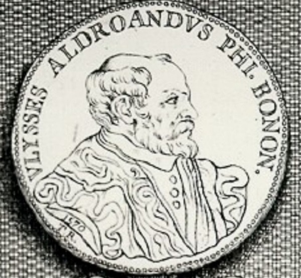 monogrammista-t.r.-timoteo-refato-medaglia-ulisse-aldrovandi-1570